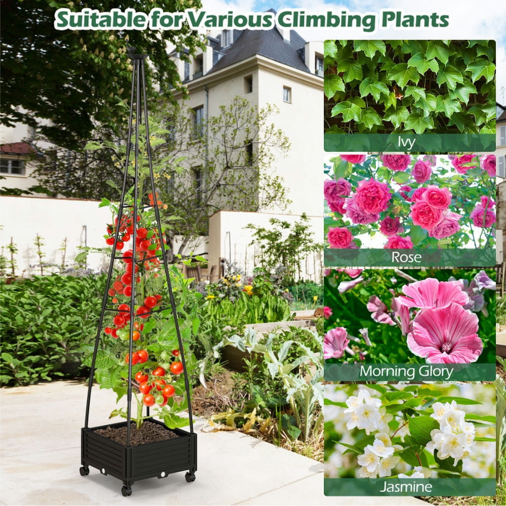 Spaco Garden Obelisk Trellis with Self-Drainage System for Climbing Plants-Black, Vegetables Tomato and Herbs for Patio Balcony Deck to Planting Flowers
