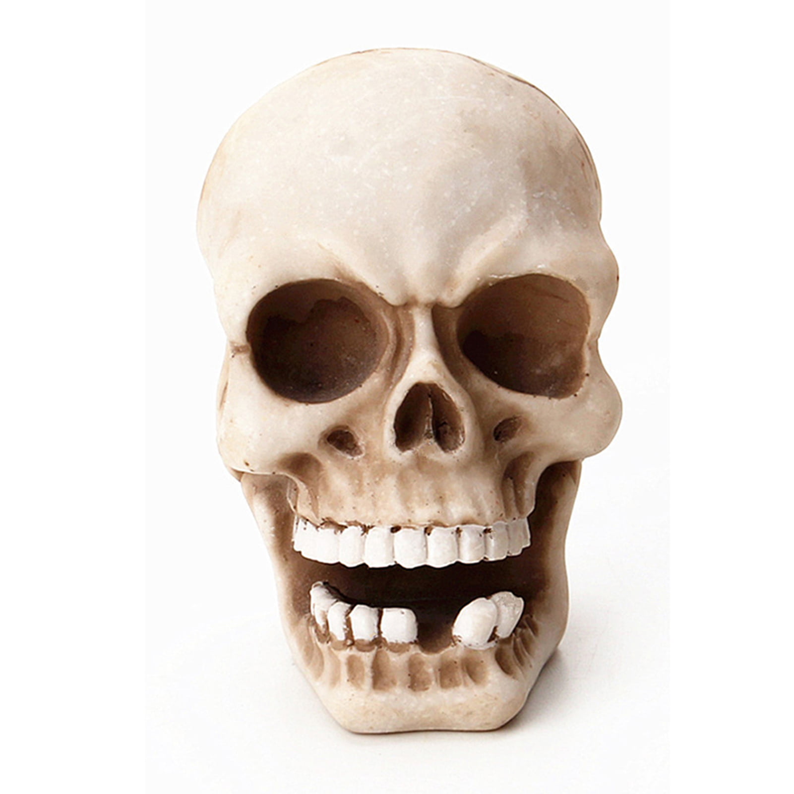 Readaeer Life Size Skeleton Replica Realistic Human Skull Head Bone Model Colorful Floral 