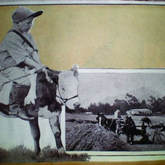 That Ghost - I Crossed Out the Options - Rock - Vinyl [7-Inch]