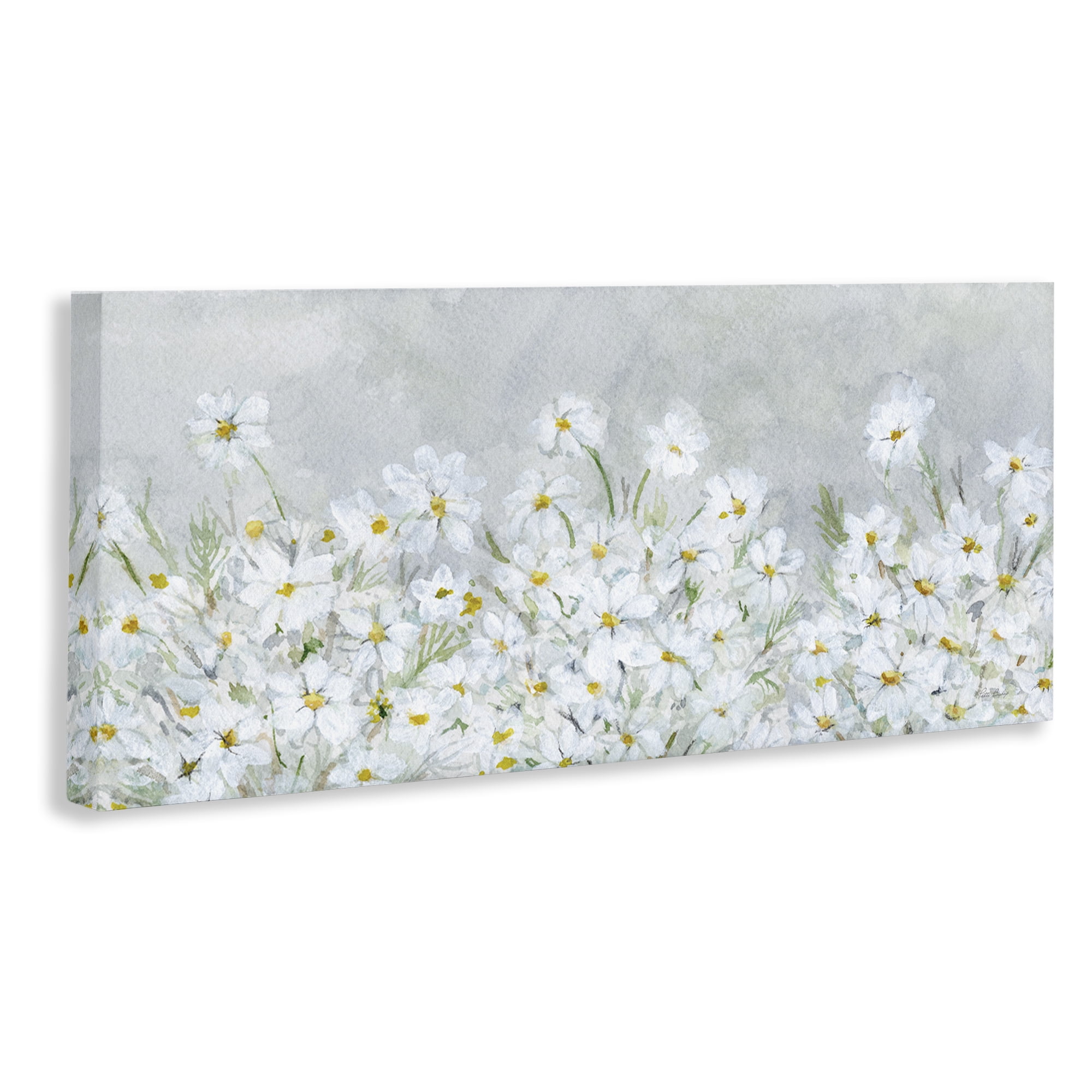 Stupell Industries Subtle Brushed Daisies Botanical & Floral Painting Gallery Wrapped Canvas Art Print Wall Art, 30 x 13