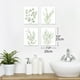 thumbnail image 2 of Lienzo decorativo para pared con la planta botánica Erctoo, color verde salvia, juego de 4, 2 of 7
