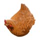 thumbnail image 5 of Figura decorativa de gallina, estatua decorativa, escultura de pollo simulada extraíble amarillo, 5 of 9