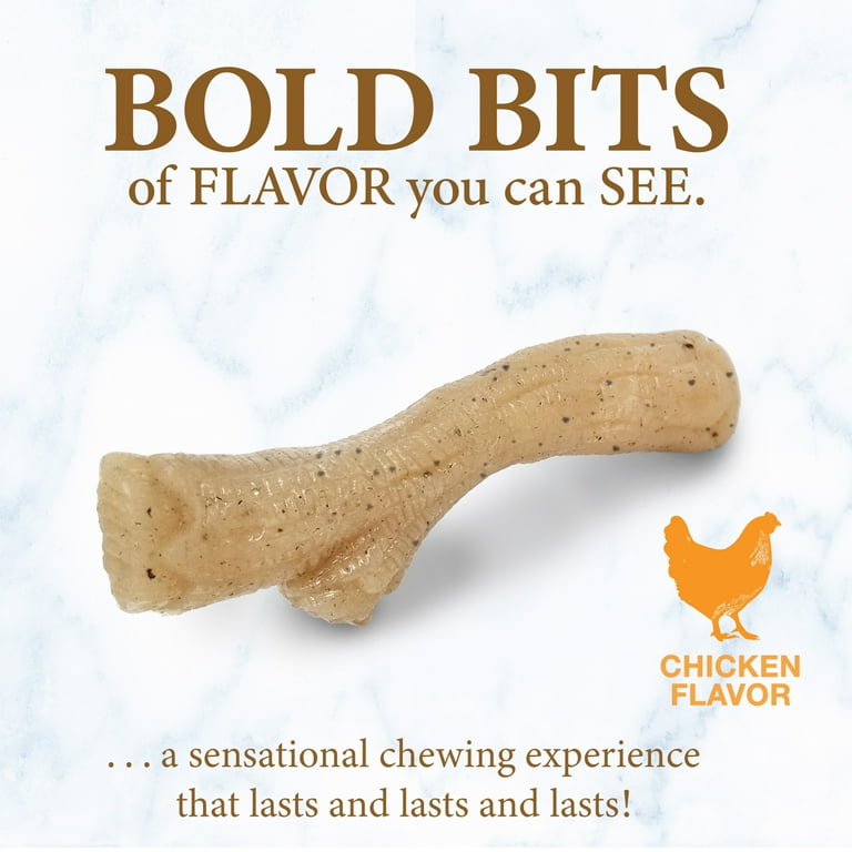 Nylabone Gourmet Style Strong Stick Puppy Chew Toy Chicken Medium Wolf Up to 35 lbs. 1 Count