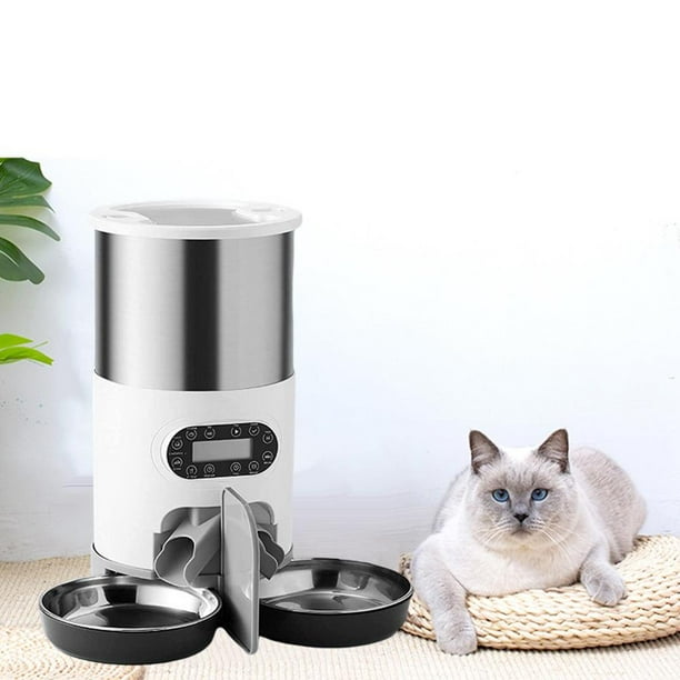 Cat dish cheap with timer