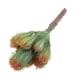 thumbnail image 3 of Plantas de cactus de imitación plástico artificial flor decoración para hogar manualidades de bricolaje 14 1 pieza 14.5 x 7cm Colco Cactus Artificial Suculento, 3 of 8