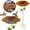 Orange, variant on Bird Baths For Outdoors Clearance Sale for Garden Decor Bird Baths For Outdoors Hummingbird Bath Small Bird Bath