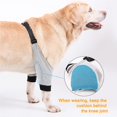 thumbnail image 2 of Methold Codo para perro, soporte para articulaciones, accesorios de envoltura profesional, envoltura para heridas, Protector de pierna delantera, Electrónica S, 2 of 6