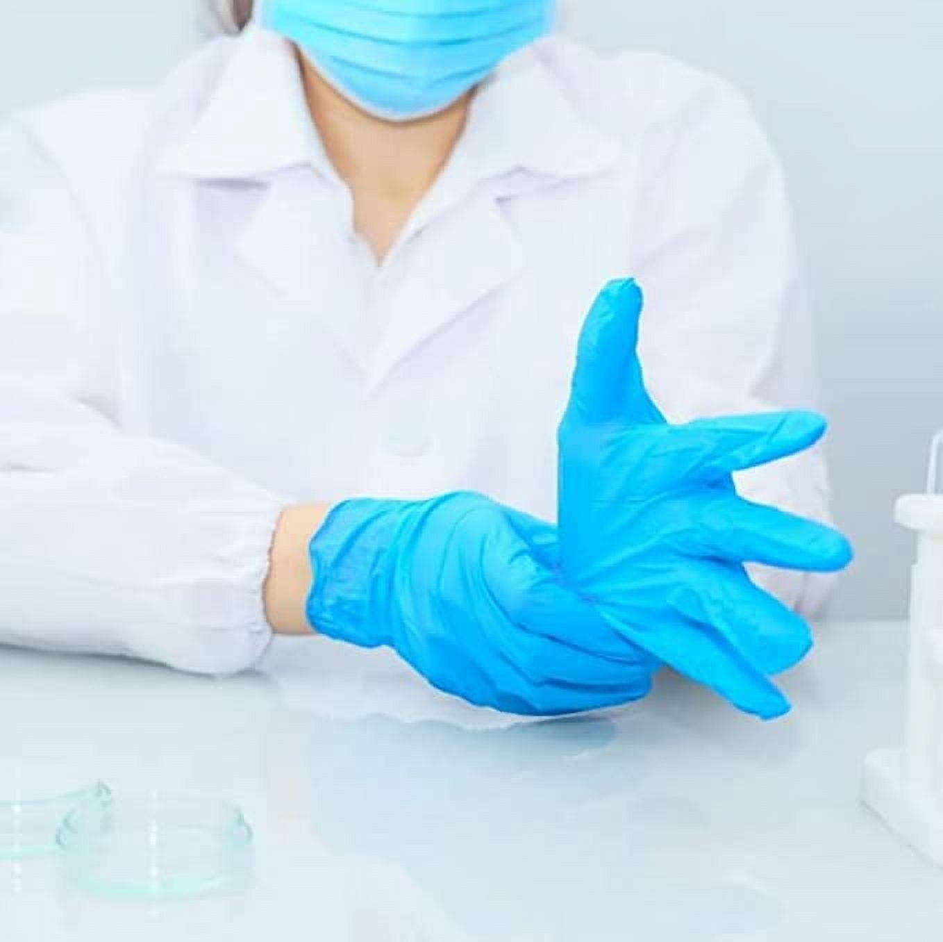 Disposable Vinyl Gloves Powder Free, Blue, Non-Medical Use (Case of 1000) - Large