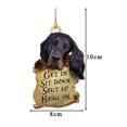 thumbnail image 1 of Fall Decor Kitchen Animal Lover Two Sided Ornament,Funny Car Hanging, 1 of 5