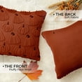thumbnail image 4 of Sanmadrola Fall Pillow Covers 18x18 Throw Pillow Cases Set of 2 Halloween Thanksgiving Autumn Decorations Pumpkin Soft Plush Faux Fur Wool Couch Cushion Case for Sofa Bedroom Living Room Home Decor, 4 of 7