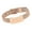 Rose Gold, variant on Ashes Holding Bracelets Cremation Ashes Bracelets Memorials Jewelry Bracelets for Men and Women