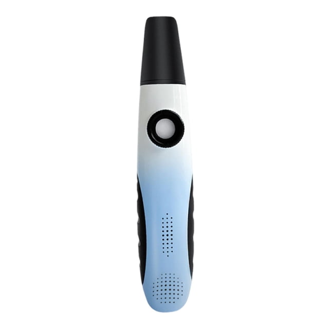 Flauta,Portátil de 20 cm con 10 membranas de flauta,Mini instrumento electrónico de efectos de sonido,Tamaño compacto para presentaciones en vivo de bandas,Tono ajustable,fácil de aprender