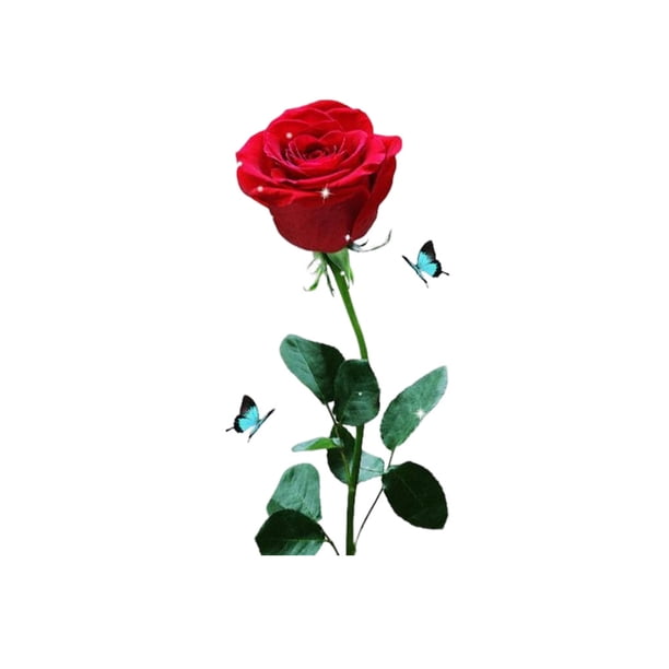 Toystoory Pegatinas de pared Flores Diseño de rosas rojas Papel tapiz de arte Suministros de imágenes temáticas Habitación Dormitorio Fondo Decoración del hogar Toystoory HA076777-00