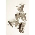 thumbnail image 2 of Garden Bloom - 5 Poster Print by Alan Blaustein (12 x 18), 2 of 2
