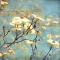 thumbnail image 2 of Amy Melious 15x15 White Modern Wood Framed Wall Art Titled - Dogwood II, 2 of 5