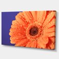 thumbnail image 2 of Orange Daisy On Purple Background - Floral Canvas Art Print, 2 of 4