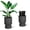 Marble Black, variant on Towallmark 14.2" Planters Set of 2, Self Watering Plant Pots with Inner Bucket and Water Level Monitor, Flower Pots with Drainage Holes for Patio, Porch, Living Room, Home Office, Marble Black