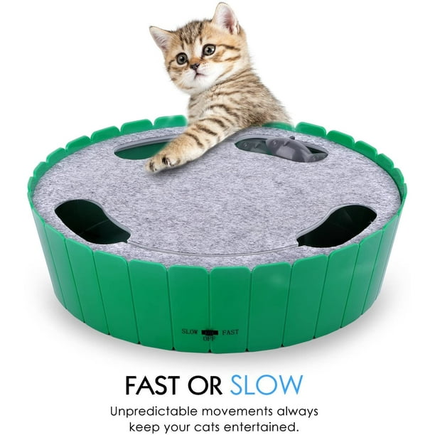 Peekaboo cat toy sales