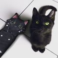 thumbnail image 3 of Toalla de mano AGRIMONY Cat Funny para baño y cocina - Cute D, 3 of 6