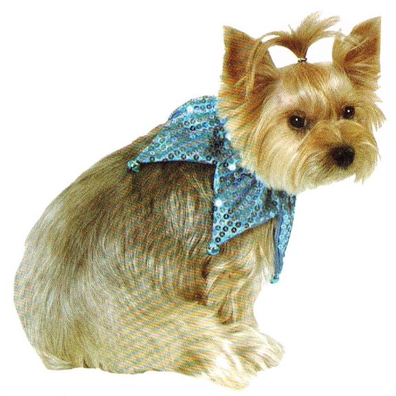 Blue Sequin Pet Neck Scrunchie (Medium/Large)
