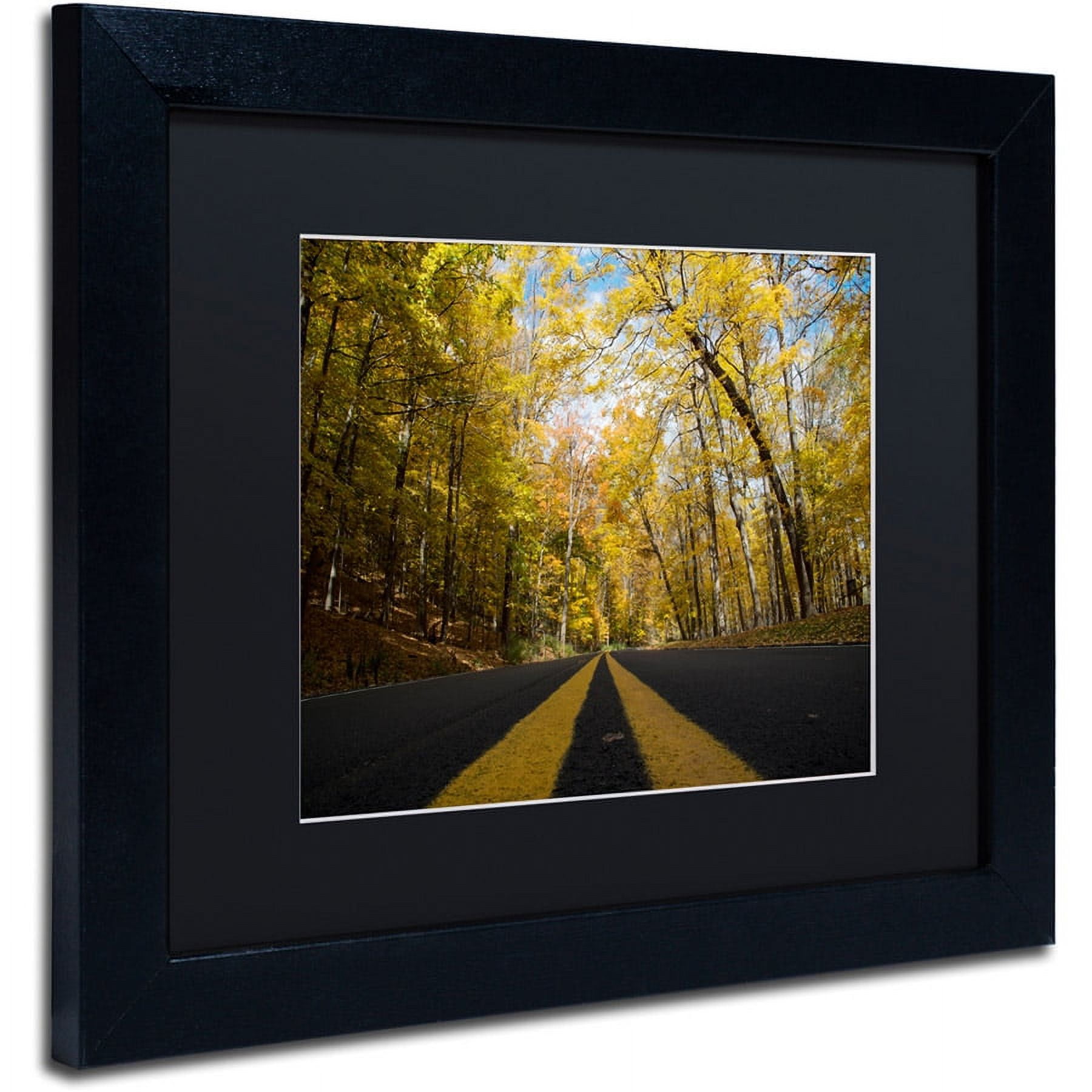 "Autumn Along the Valley Parkway" Canvas Art by Kurt Shaffer, Black Matte, Black Frame