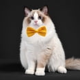 thumbnail image 3 of ? formal dog bow tie for medium and large dogs, 3 of 5
