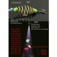 thumbnail image 3 of Nouvel Outil de Pêche Overlord bundle Hameçon Explosif 3-12 style Maille 12 Maille, 3 of 5