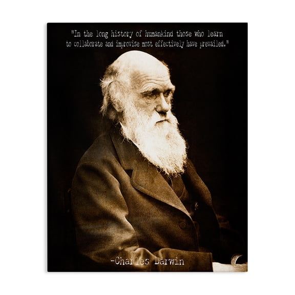 Stupell Industries Shabby Chic Inspiring Darwin Quote Canvas Art, 16 x 20, by Graffitee Studios