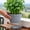 wave edge plant pot Under $5 a2, variant on Werulen Wave Edge Plant Pot with Drainage, Decorative Indoor Outdoor Flower Planter, Matching Saucer Lightweight Pot, Modern Plant Container, Flower Pot with Tray