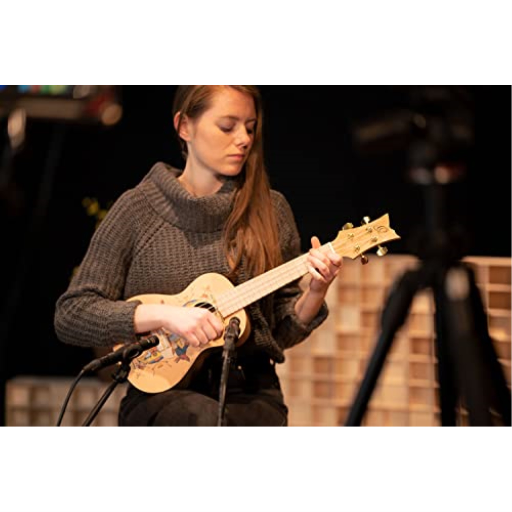 Art Series Concert Ukulele