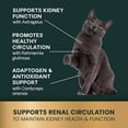 thumbnail image 4 of VetriScience Kidney Health Tablets for Cats, Chicken & Fish, 60 Count, 4 of 7