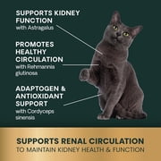 VetriScience Kidney Health Tablets for Cats, Chicken & Fish, 60 Count