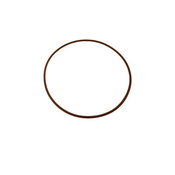 Raypak 011600F 130A O-Ring Gasket