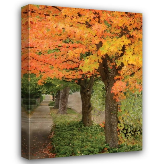 Vitaly Geyman 28x37 Gallery Wrapped Canvas Wall Art Titled - Fall Maple Fever II