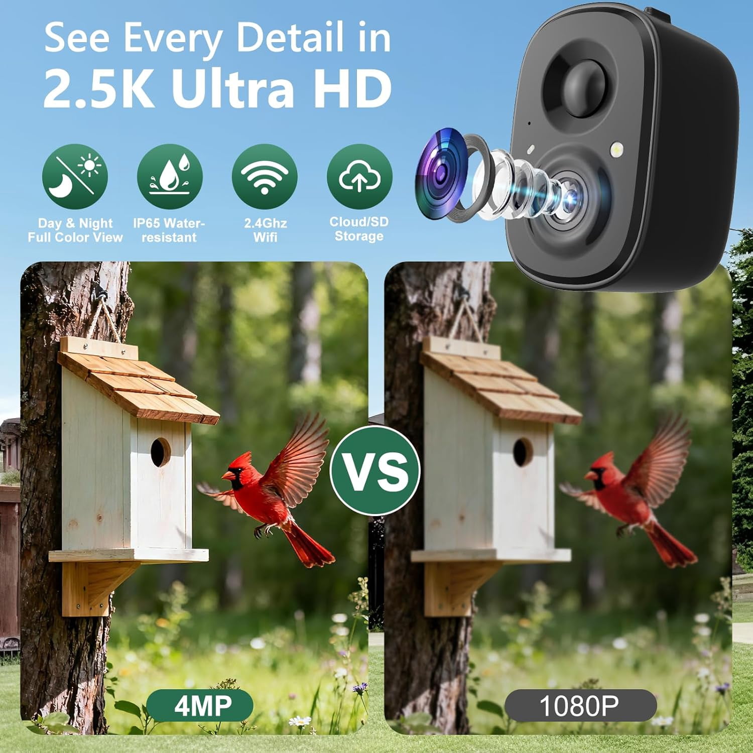 Smart Bird Feeder Camera Solar Powered with Pole