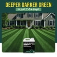 thumbnail image 5 of PetraMax Neighbor's Envy Liquid Lawn Fertilizer for Dark Green Grass, 1 Gallon, 5 of 12