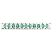 Arrow TV Series Sigil 12 Inch Standard and Metric Plastic Ruler