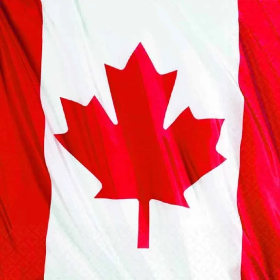 Waving Canadian Flag Maple Leaf Canada Day Patriotic Party Beverage Napkins