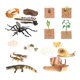 thumbnail image 5 of Juguetes de aprendizaje del ciclo de vida, accesorios didácticos, animales, plantas, figuras, juguetes Montessori Estilo B, 5 of 9