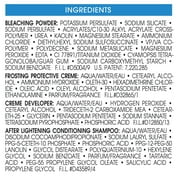 LOreal Paris Le Petite Frost Cap Precise Highlights, Creme Caramel, 1 Kit