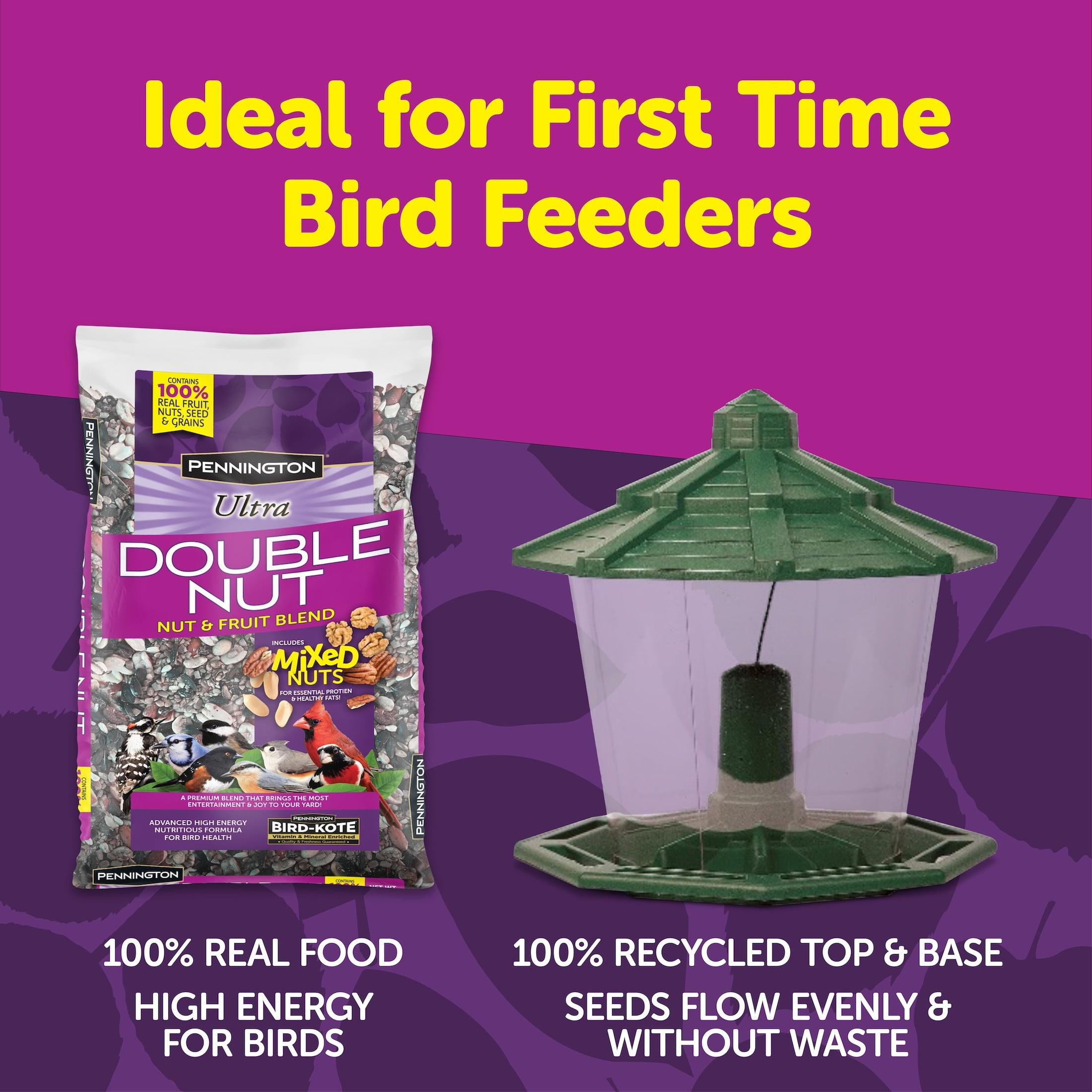 Pennington Earth Smart Green Ecozebo 7lb Capacity Wild Bird Feeder and Feed Starter Kit 1 Each