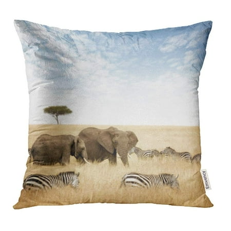 ARHOME Adult and Young Elephant with Zebras and Lone Acacia Tree in The Red Oat Grass Pillowcase Cushion Cover 20x20 inch