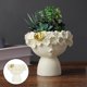 thumbnail image 3 of Florero decorativo Sunnimix escultura de resina Beige, 3 of 7