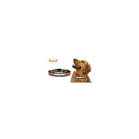 San Francisco 49ers Reflective Medium (M) NFL Football Safety Pet Dog Collar