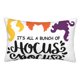 thumbnail image 1 of Fundas de almohada Pocus Hocus, fundas de almohada mullidas súper suaves y acogedoras con cremallera, 20 x 30 pulgadas, dormitorio, sofá, sillón, funda de almohada para todas las estaciones, 1 of 8