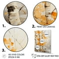 thumbnail image 3 of Designart "Orange Birch Wood During The Winter Season V" Tree Birch Floater Framed Canvas Wall Art, 3 of 5