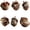 E, variant on Darzheoy Resin Forest Animals Ornaments, 3 Piece Cute Hazelnut Animal Pendants for Christmas Tree Decoration, Holiday Gift