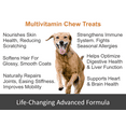 thumbnail image 5 of Finest for Pets 10 in 1 Multivitamin Chews for Dogs, Chicken Flavor, 120 Count Chews, 5 of 7