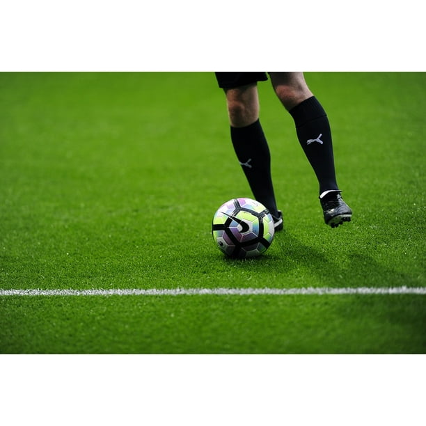 Peel N Stick Poster Of Game Soccer Sport Football Goal Ball Match Grass Poster 24x16 Adhesive Sticker Poster Print Walmart Com Walmart Com