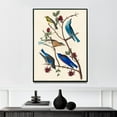 thumbnail image 1 of Townsend's Warbler, Arctic Blue-bird and Western Blue-bird - 1827 | John James Audubon | Premium Fine Art Print | 19th Century American | Naturalism | Botanical | Plant Art | Nature Art, 1 of 7